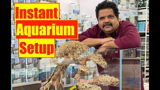 Instant Aquascaping | Bonsai Tree Aquarium | Mayur Dev's Tips | Nature Aquarium Gallery HD 1080p