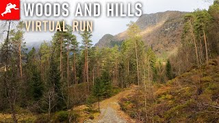 Virtual Run | Woods, Hills, Trails Virtual Treadmill Workout | Virtual Running Videoes 4k