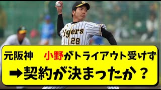 元阪神 小野の契約が決まった？トライアウトの名簿に名前なし【阪神タイガース】