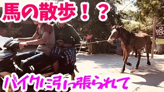 ミャンマーの車窓から 〜ハンタワディ周辺はパゴダ（仏塔）がいっぱい