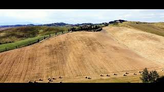 Volando sulle colline pisane