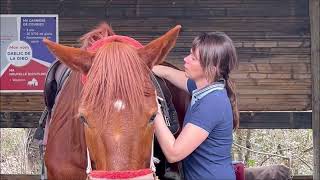 Flash des trotteurs et galopeurs de Laura