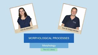 MOR104 - Morphological Processes