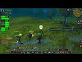 massive alliance vs horde world pvp raid in westfall classic wow stalagg server