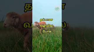 நல்லது கெட்டது🧐 #shortsvideo #motivation #inspiration #lifeethicstamil #trending #trendingshorts