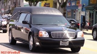 VIP Escort in West Los Angeles