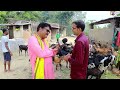 देशी बकरी पालन से 12 लाख कमाई कैसे ।how to earn 12 lakhs from deshi goat farming।। omprakashausar