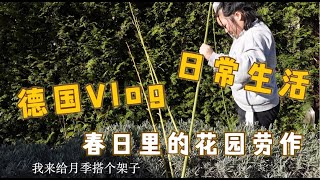 德国生活Vlog 丨春日里在花园劳作  菠菜拌粉丝