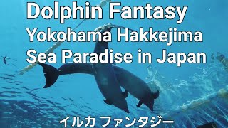 Dolphin Fantasy in Japan | Yokohama  Hakkejima Sea Paradise | イルカファンタジー | 横浜八景島シーパラダイス | Japan