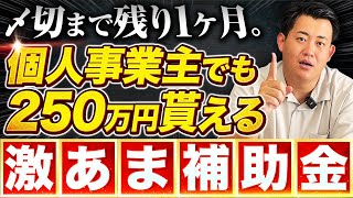 【まだ間に合う】個人事業主でも250万円！小規模事業者持続化補助金を本気で申請したい人に超耳寄り情報\u0026実際に採択された計画書もプレゼント！