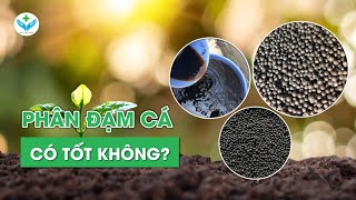 Phân đạm cá có tốt không?┃Nông Sản ND