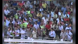 [HKIR 2013] Side Story of 2013 LONGINES Hong Kong Cup