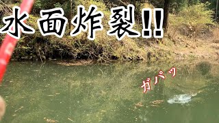 【バス釣り】【津風呂湖】早春の津風呂湖で水面を割る豪快なバイトが！！※4/4撮影