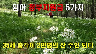 정부지원금의 임야개발로 돈버는 전원생활