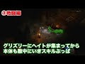 【ハードコアクリアビルド】ドルイド編【安定性no.1】