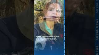 Bald eagle nest in Conway threatened by new construction, residents demand action