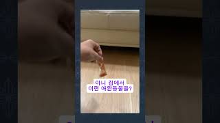 아니 집에서..? #funnyvideo #웃긴비디오 #shortsvideo