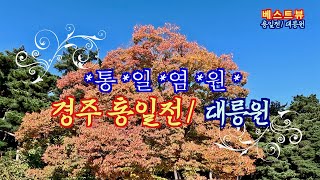 베스트뷰(Best View) 경주 통일전과 대릉원 풍경 #경주 #통일전 #대릉원 #황리단길 #경북천연숲정원 #고속도로 #대구 #유적지 #삼국통일 #고프로 11 #파이널컷프로