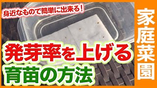 家庭菜園や農園の育苗で発芽率を上げるコツ！春夏野菜栽培の簡単な種まき準備や活力剤の使い方を徹底解説！【農家直伝】