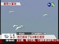 黑面琵鷺來過冬 1510隻破紀錄