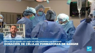 ¿Cuál es la importancia de la donación de células portadoras de sangre? • FRANCE 24 Español