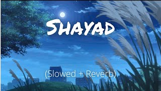 Shayad (Slowed and Reverb) | Love Aaj Kal