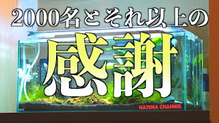 【感謝】チャンネル登録者数2000人達成と今後の話