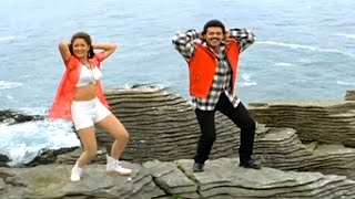 Venkatesh, Laila Superhit Video Song | Guma Guma Lade America Andam Song | Pelli Chesukundam Songs
