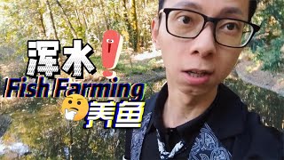 水脏也能把鱼养好，别光追求水质清澈而疯狂给鱼缸换水，把鱼弄死