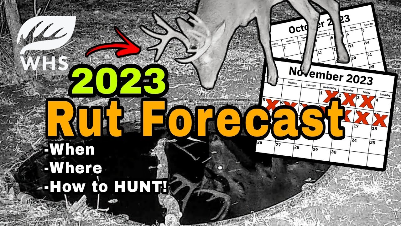 2023 Whitetail Rut Forecast - YouTube