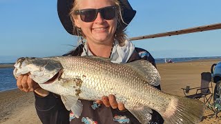 Live bait, beach fishing Townsville