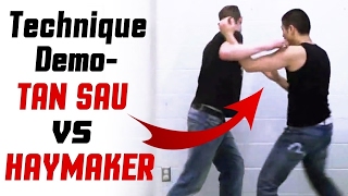 How to Counter a Haymaker? Wing Chun vs Boxing - Siu Lim Tao Technique Demo