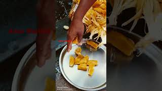 पिकलेला फणस २०२३ कोकण/#jackfruit #कोकण #videoshorts #videos #kokan #2023 #फणस #rajapur #oni