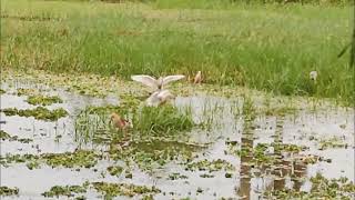 একটা বয়স পেরিয়ে মানুষ বুঝে যায়..