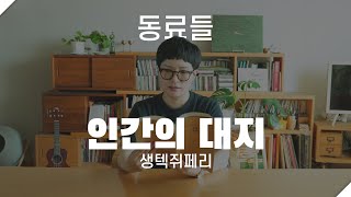 [에세이봇] 인간의 대지, 생텍쥐페리 '동료들'