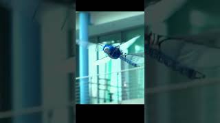 Introducing the Future of Robotics: Meet Bionicopter Robot #shorts #robotics #robot