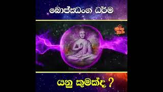 බොජ්ජංග ධර්ම යනු?