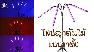 ไฟปลูกต้นไม้ LED Grow light แบบขาตั้ง เลี้ยงไม้ด่าง บอนสี ตั้งเวลาเปิดปิดได้ ขนาด 40W │Greenplant.th