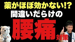 間違いだらけの【腰痛対策】🎉生放送中のみ凡賢【15%オフ】🎉