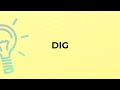 What is the meaning of the word DIG?