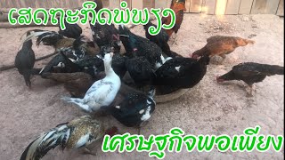 Ep 2.1: เลี้ยงเป็ดเลี้ยงไก่สไตล์แม่เรา แม่ของเป็ดน้อยเอง วิถีชีวิตของคนในท้องถิ่น