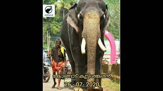 kerala Elephants  Dead in 2020.  ആന കേരളത്തിന് നഷ്ടമായ മാതംഗകേസരികൾ😢💐