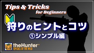 Tips & Tricks for Beginners Part ① | theHunter Call of the Wild