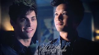 Magnus & Alec IP!nk-just give me a reason