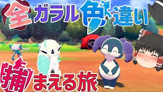 【ポケモン剣盾】全ガラルポケモンの色違い捕まえる旅　パート８【ゆっくり実況】