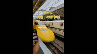 【見ると幸せが訪れる・ドクターイエロー】新大阪駅  #shorts #teampixel