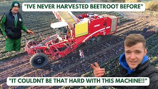 HARVESTING BEETROOT 2022