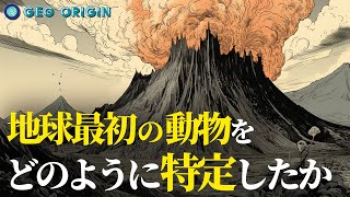 地球最初期の動物はどのようなものだったか？