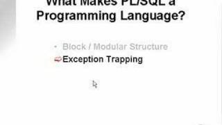 learning oracle application developer 143