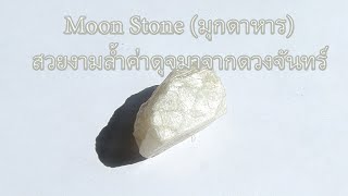 Moonstone มุกดาหาร หินมงคล พลอยสวย อัญมณีล้ำค่า ความงามดุจมองแสงจันทร์ แนะนำลักษณะการดูเบื่องต้น